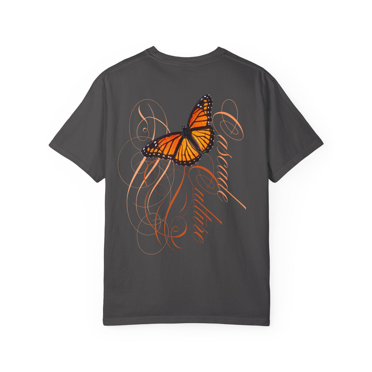 Monarch Butterfly 
