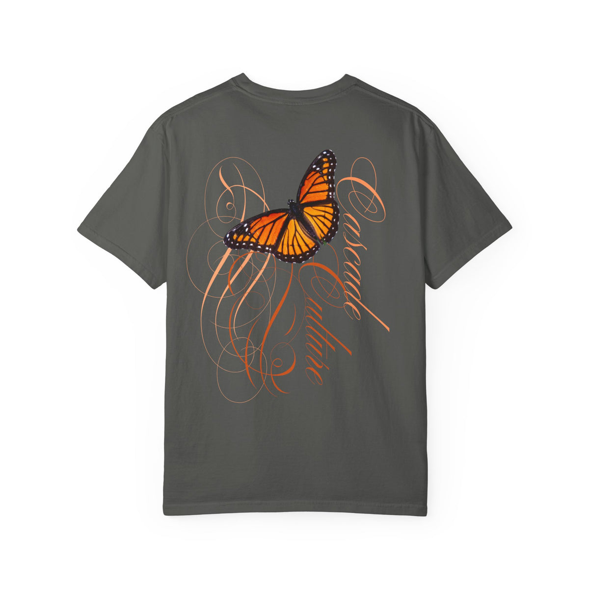 Monarch Butterfly 